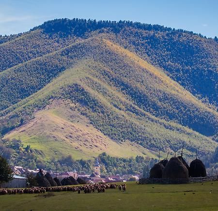 Picturesque Village In Transylvania Решинарі Номер фото
