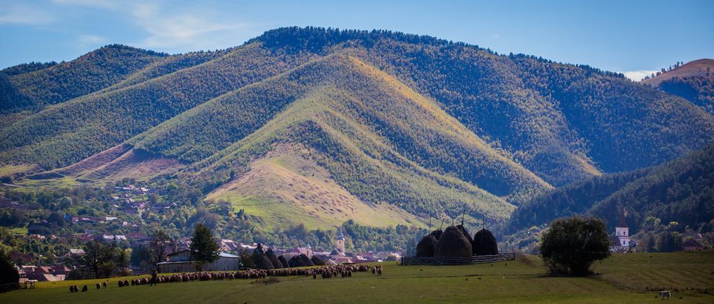 Picturesque Village In Transylvania Решинарі Номер фото