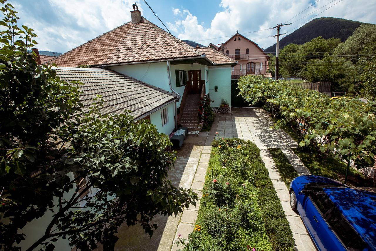 Picturesque Village In Transylvania Решинарі Екстер'єр фото